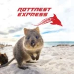 Rottnest Island Ferry & Tours